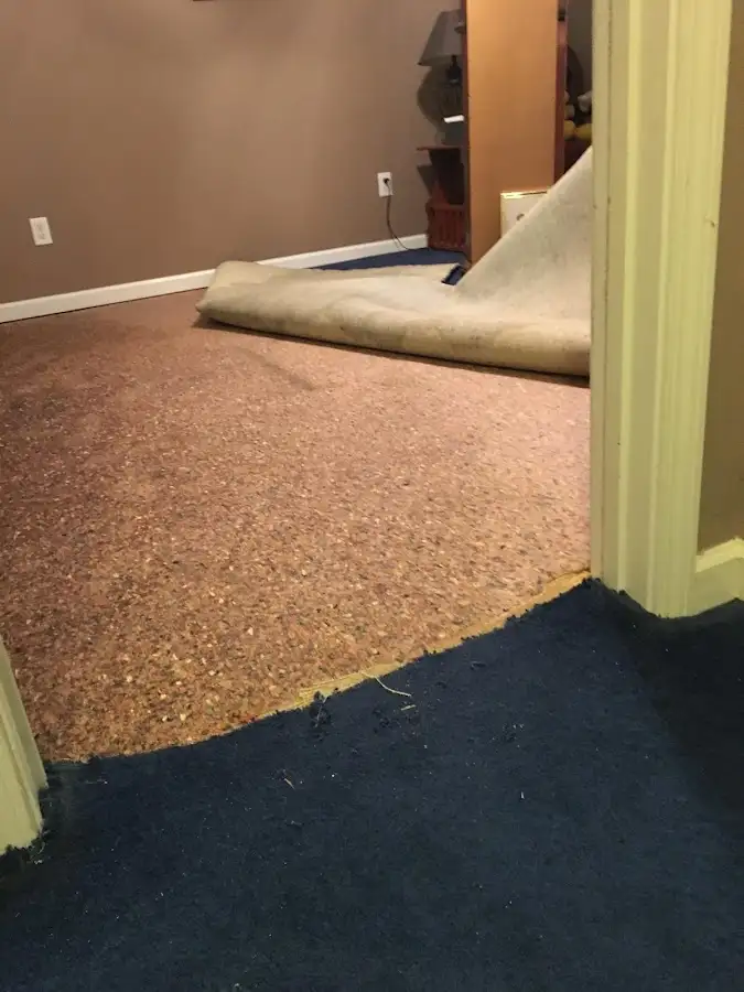 Carpet pad removal revealing water damage during Water Mitigation Services in Melrose