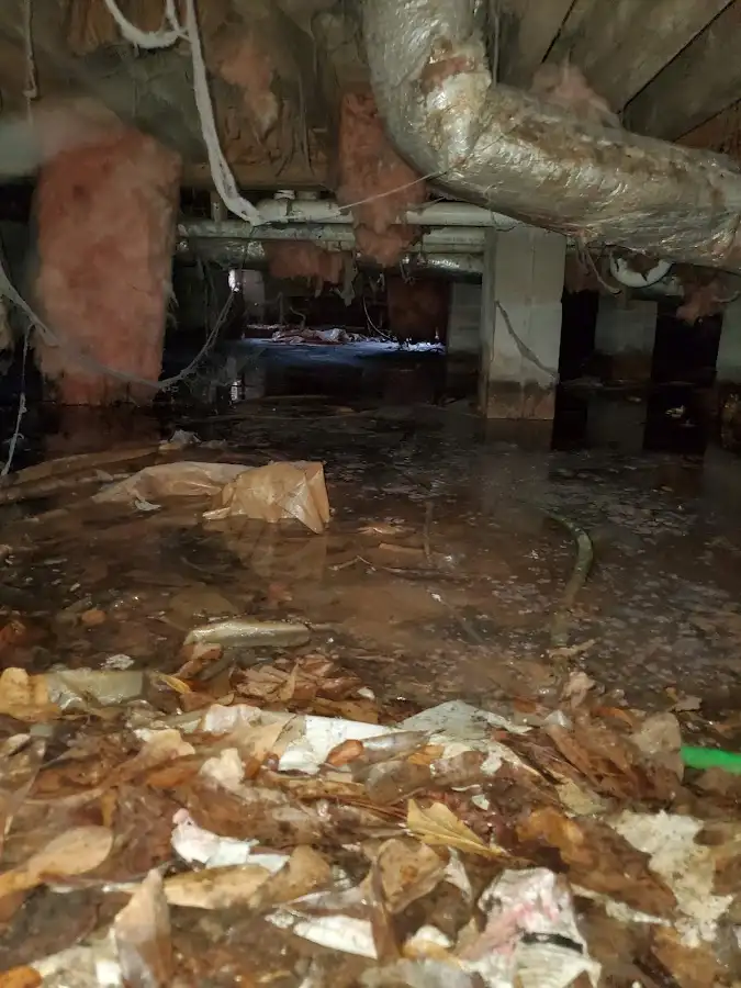 Crawl space flood assessment for Leak Detection & Repair in Melrose