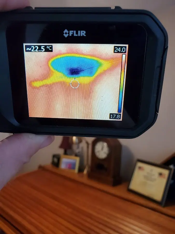 Thermal imaging inspection for water damage in Melrose