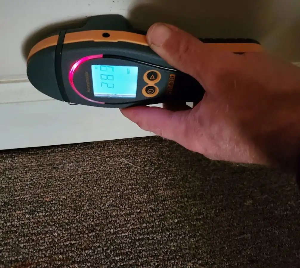 Moisture detection at baseboard during Sewage Cleanup & Sanitation in Melrose